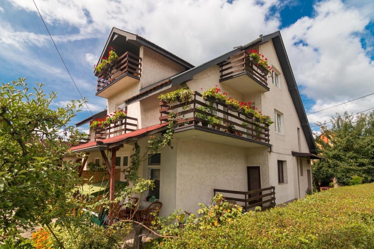 Drina - Bajina Basta Hotel Exterior photo